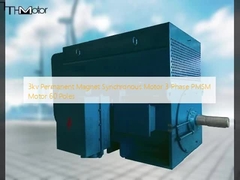 Motor Sinkron Magnet Permanen 3kv 3 Fasa Motor PMSM 60 Kutub