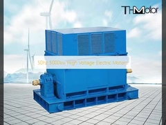 Motor listrik tegangan tinggi 50hz 5000kw