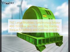 TXZ Motor sinkron besar tanpa sikat 400-15000kw 3kv-11kv dengan torsi awal besar untuk industri pertambangan dan semen