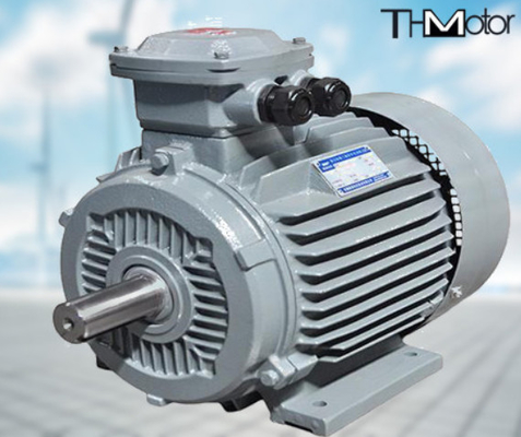 GB30254 Pompa Motor Listrik Tahan Api Tegangan Tinggi IP65 165kW