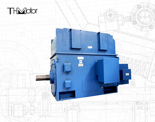 3000V 6000V 1500rpm Motor Listrik Tahan Api Asinkron P44 IP54 IP55