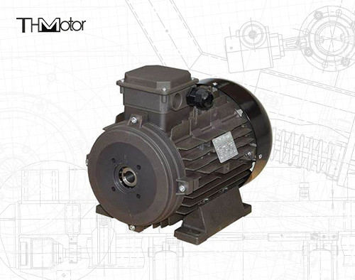 Power Hollow Shaft/Solid Shaft IP54/IP55 Voltage DC Motor untuk aplikasi industri