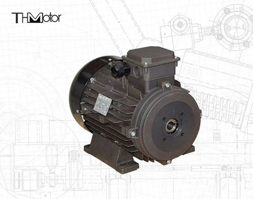 Power Hollow Shaft/Solid Shaft IP54/IP55 Voltage DC Motor untuk aplikasi industri