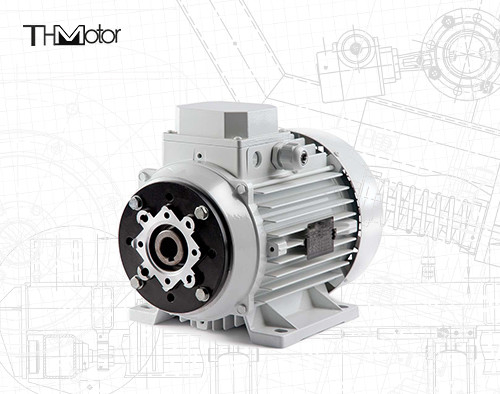 1000-12000kw 4/6 Kutub Tegangan DC Motor Selang Keruh / Selang Padat Untuk Aplikasi Tugas Berat