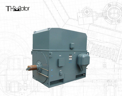 Industrial Squirrel Cage Motor Listrik 3000RPM 1250KW 142A IP55 Berkelanjutan S1