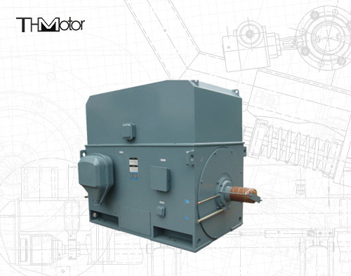 Industrial Squirrel Cage Motor Listrik 3000RPM 1250KW 142A IP55 Berkelanjutan S1