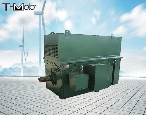 Y900 Y1000 Penambangan Batubara Tiga Fase Asynchronous Motor Listrik Tegangan Tinggi 900kw 1250kw