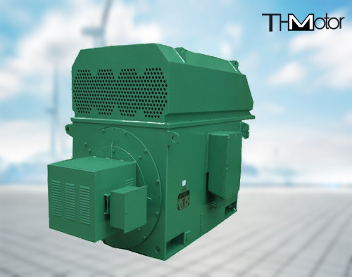 11000v Kecepatan Variabel Tiga Fase Motor Asinkron IP55