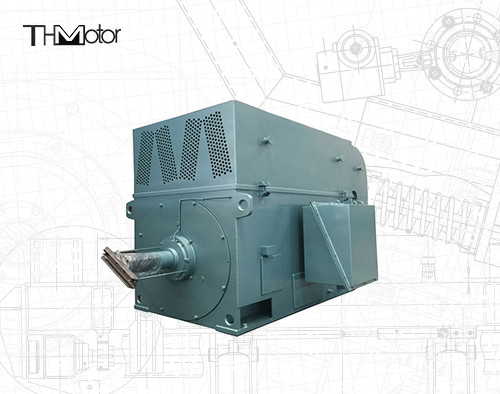 Kandang Tupai Motor Listrik Berkecepatan Tinggi Motor Listrik Tegangan Tinggi 6KV 10KV IP23 IP54 IP55