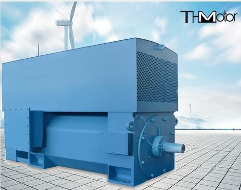 400 sampai 6000kw High Voltage AC Motor IP23 Motor Induksi Listrik